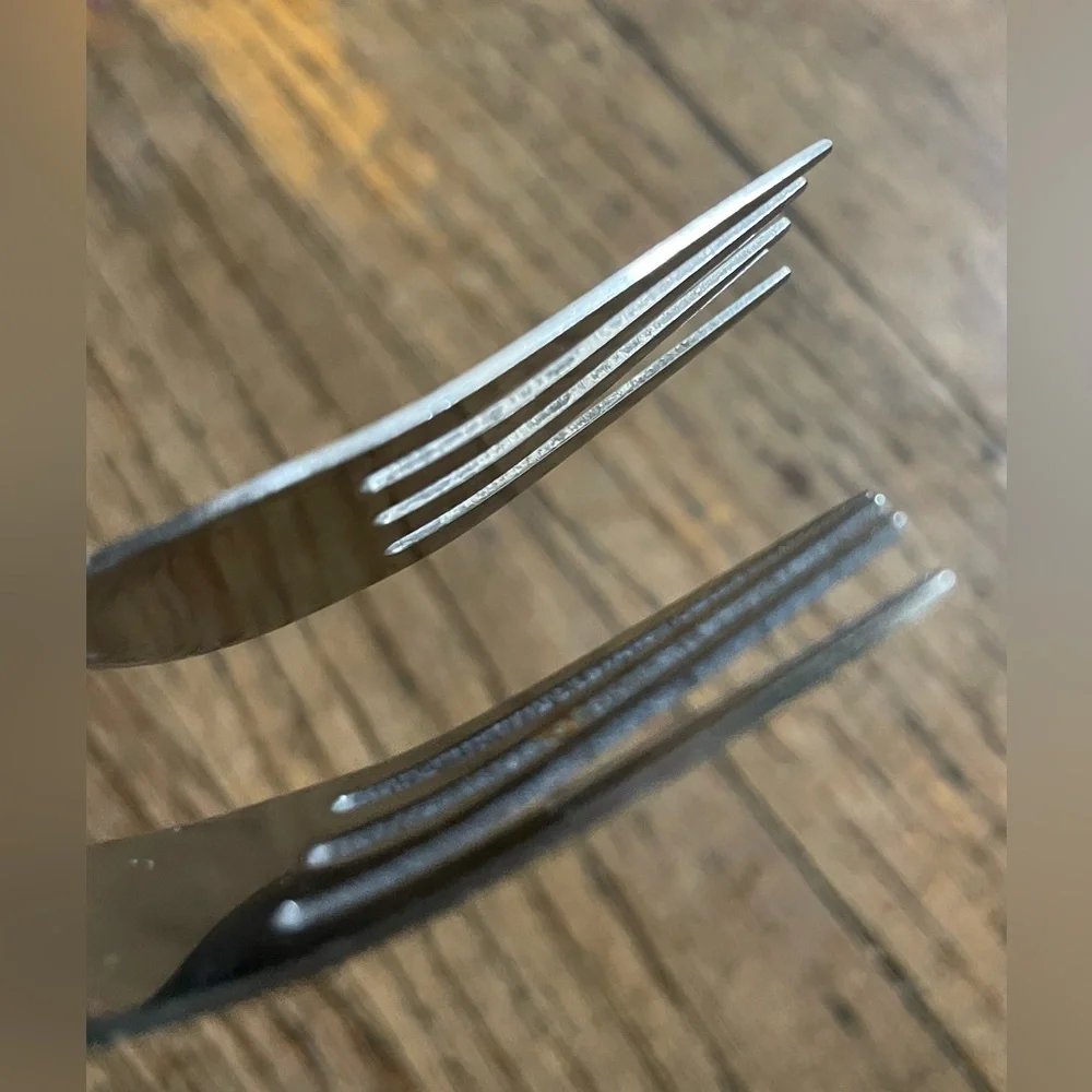 Stainless Steel Fork Set